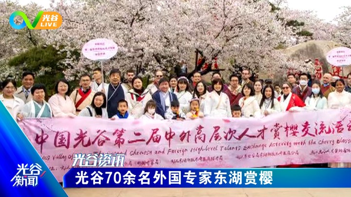 20230328光谷新闻周二版