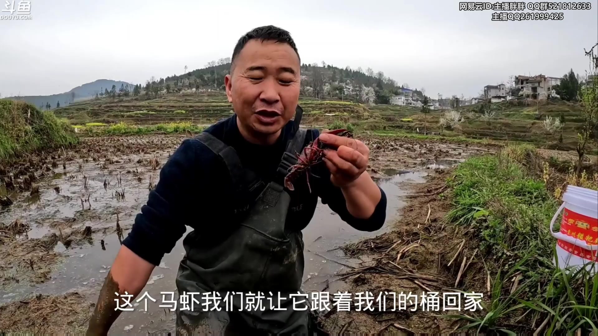 【2023-03-29 03点场】胖胖灬：胖胖OB：RNG TES 30号季后赛！