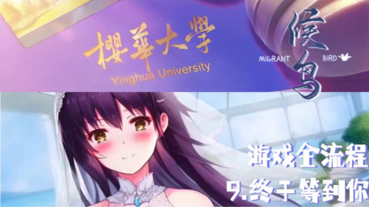 《候鸟》全流程第九集 :) 樱华 有你 有我