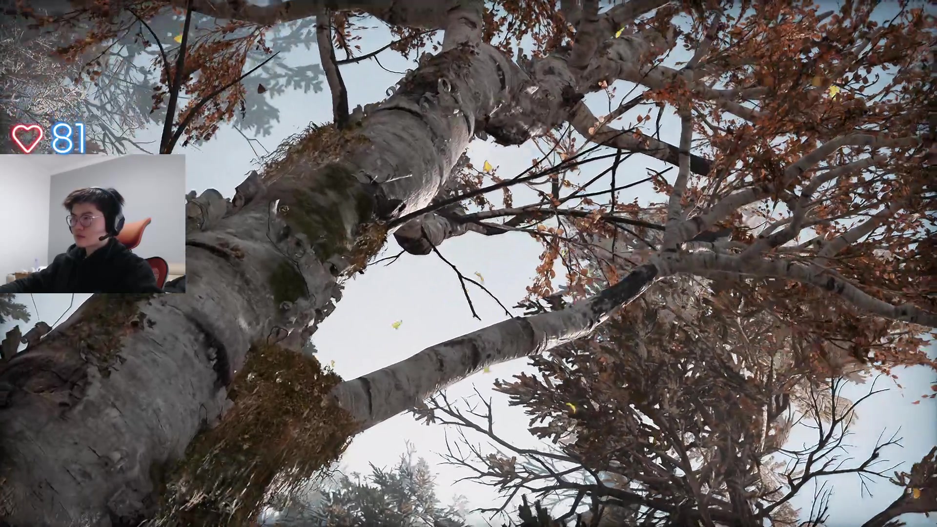 【2023-03-29 13点场】何二抛zZ：点进来 然后开始享受