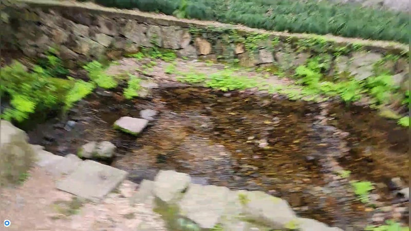 【2023-03-29 14点场】刘灶灶：灵隐虎跑附近走走