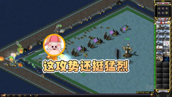 【东北乱炖】：这攻势还挺猛烈