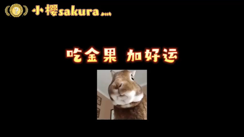 【小樱开箱】吃金果出金别问啦