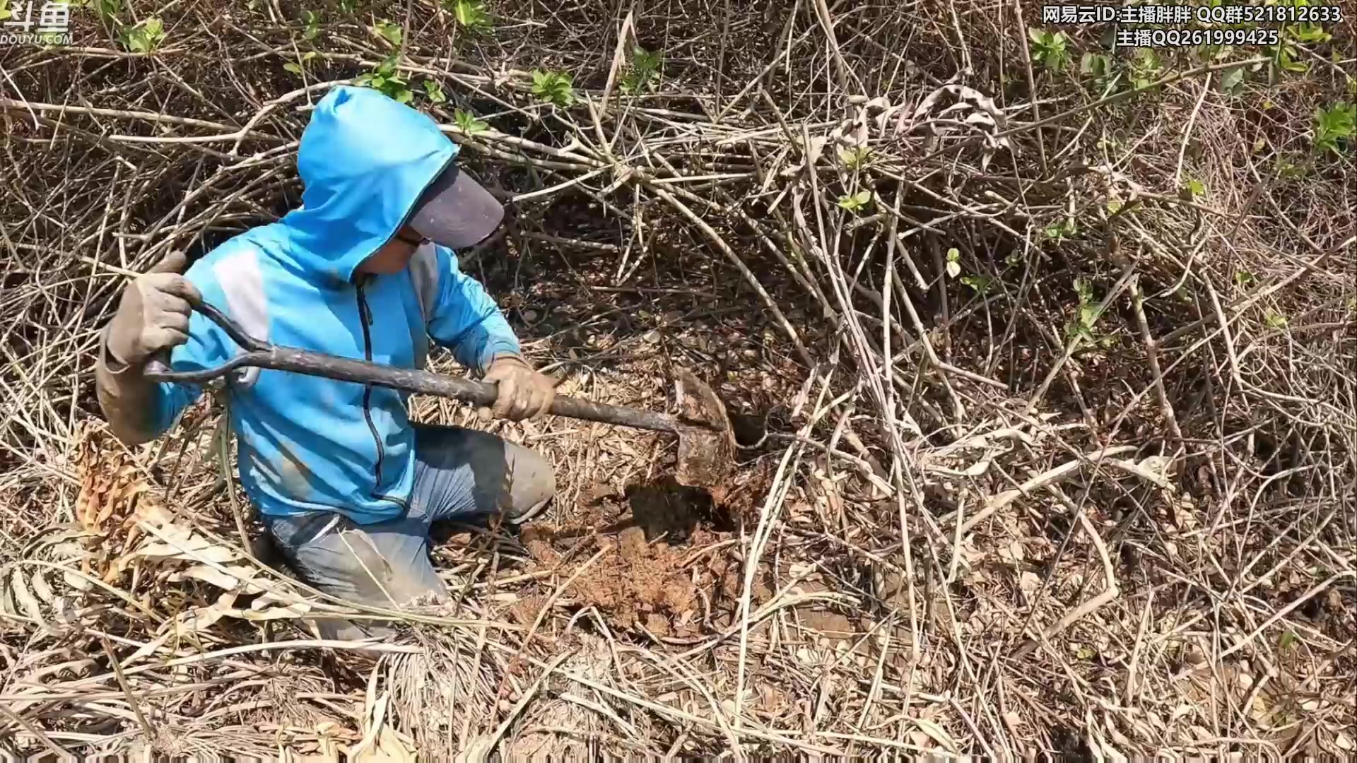 【2023-03-30 03点场】胖胖灬：胖胖OB：RNG TES 30号季后赛！