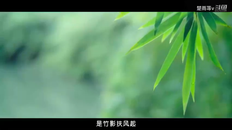 春寒傲月伶去-混剪