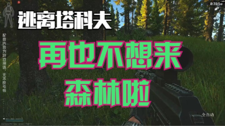 再也不想来森林啦