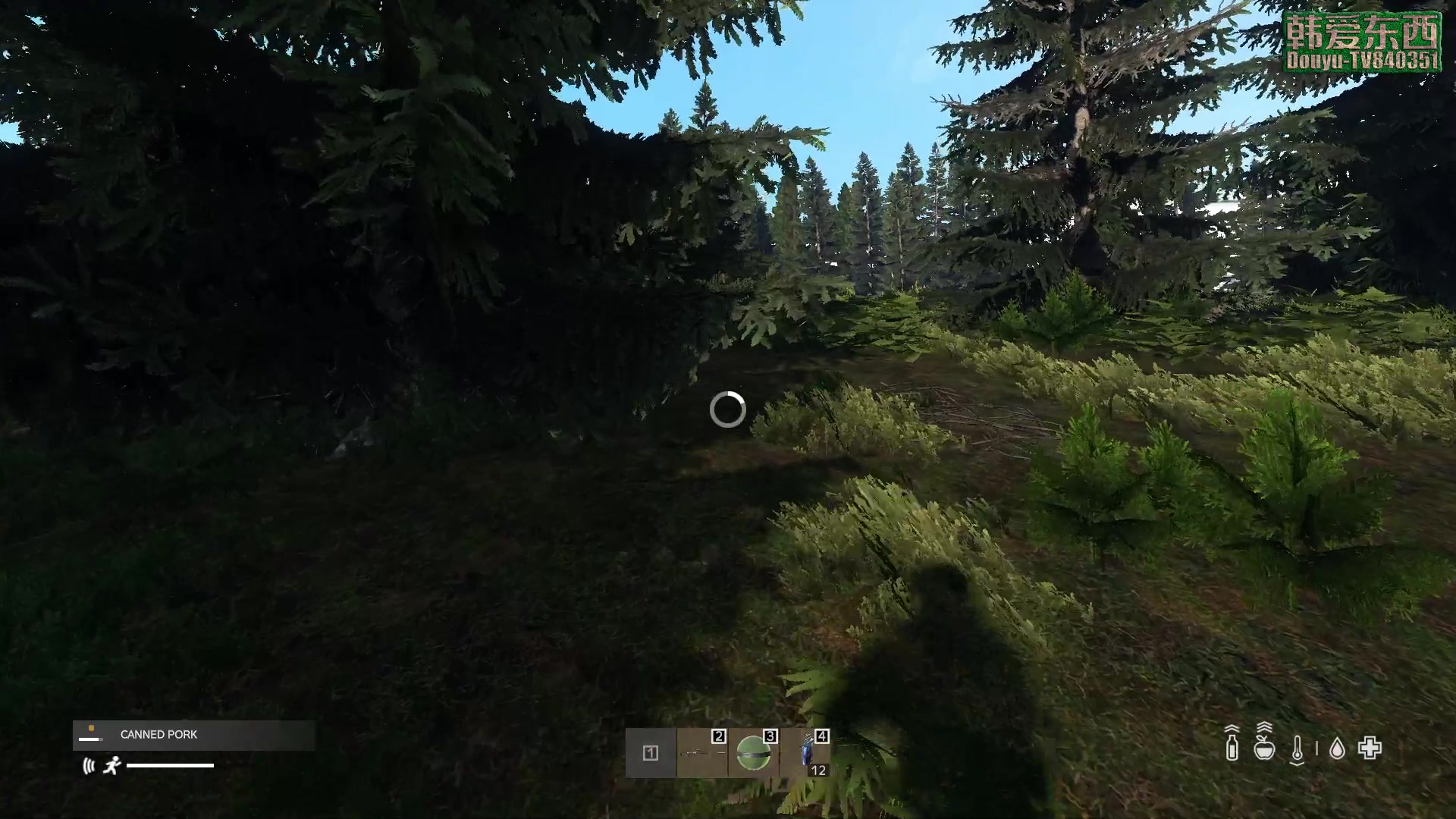 【2023-03-31 19点场】dayz韩爱东西：纳马斯克荒岛余生