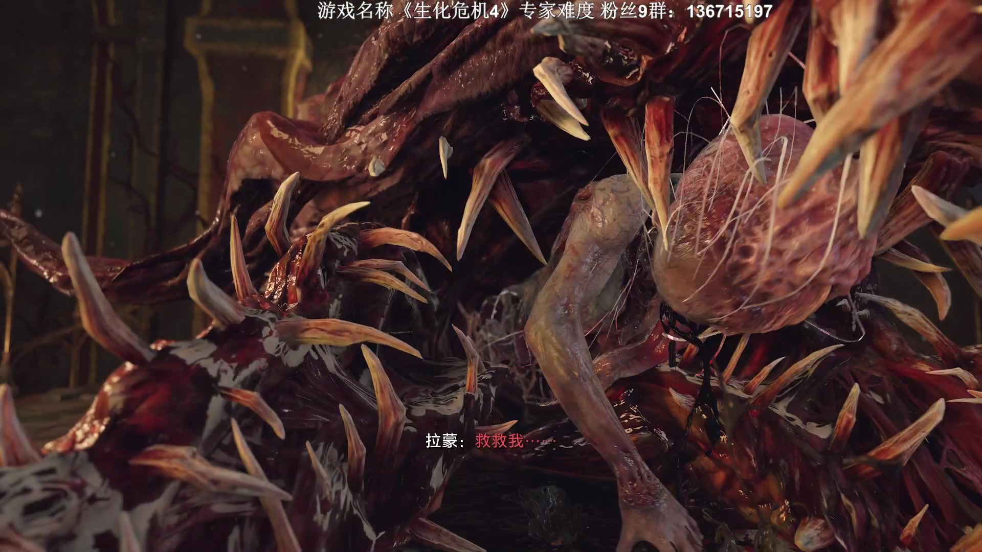 【2023-03-31 00点场】半支烟：专家难度，挑战刀通1