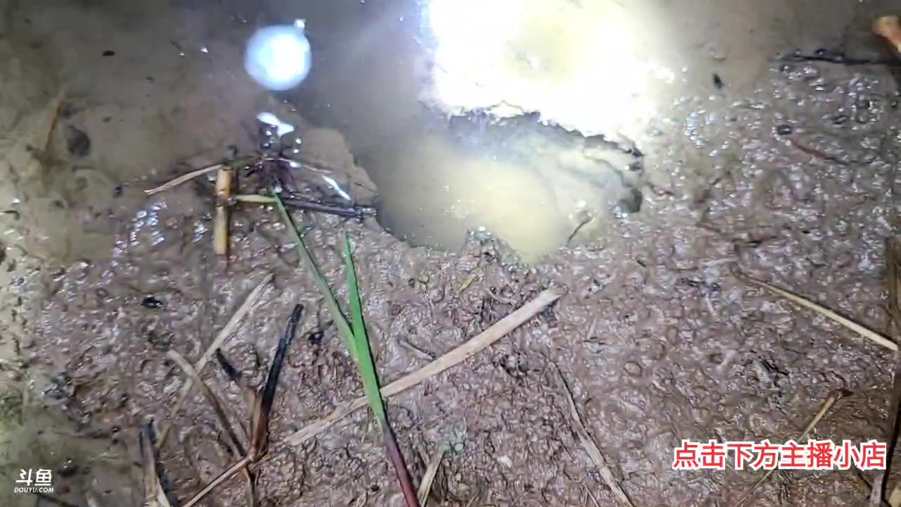 【2023-03-31 21点场】洪湖小肖：沙滩车到了造起来