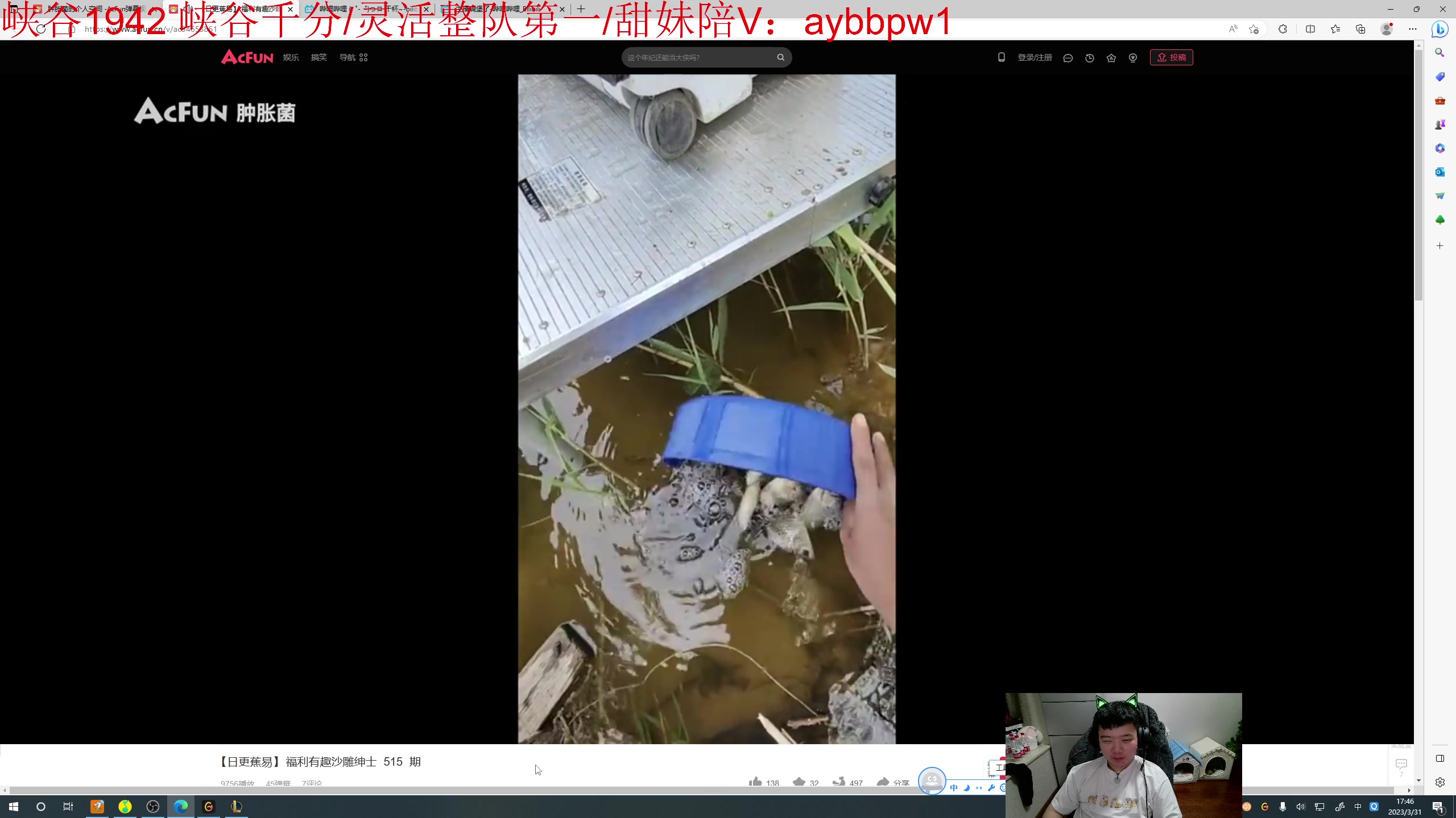 【2023-03-31 17点场】一家之猪ovo：峡谷王者局 go