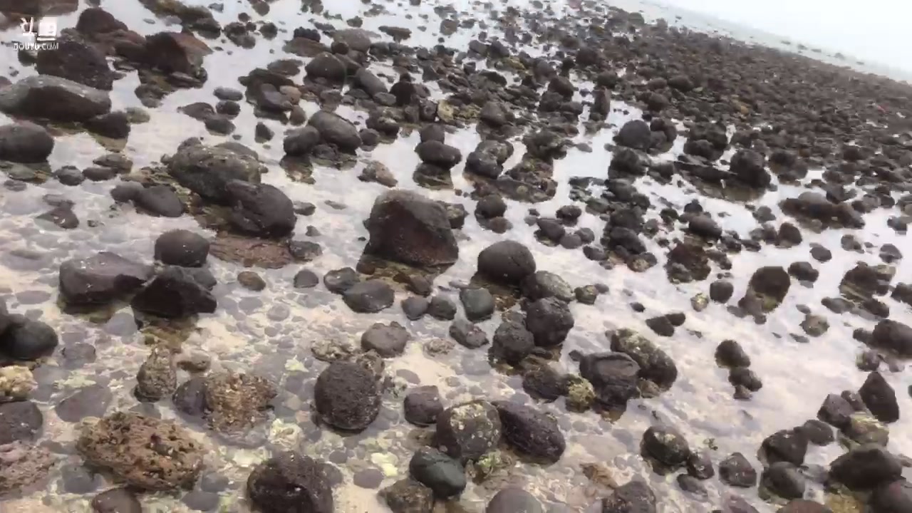 【2023-04-01 10点场】恶霸提莫：31号到4号请假，5号见～