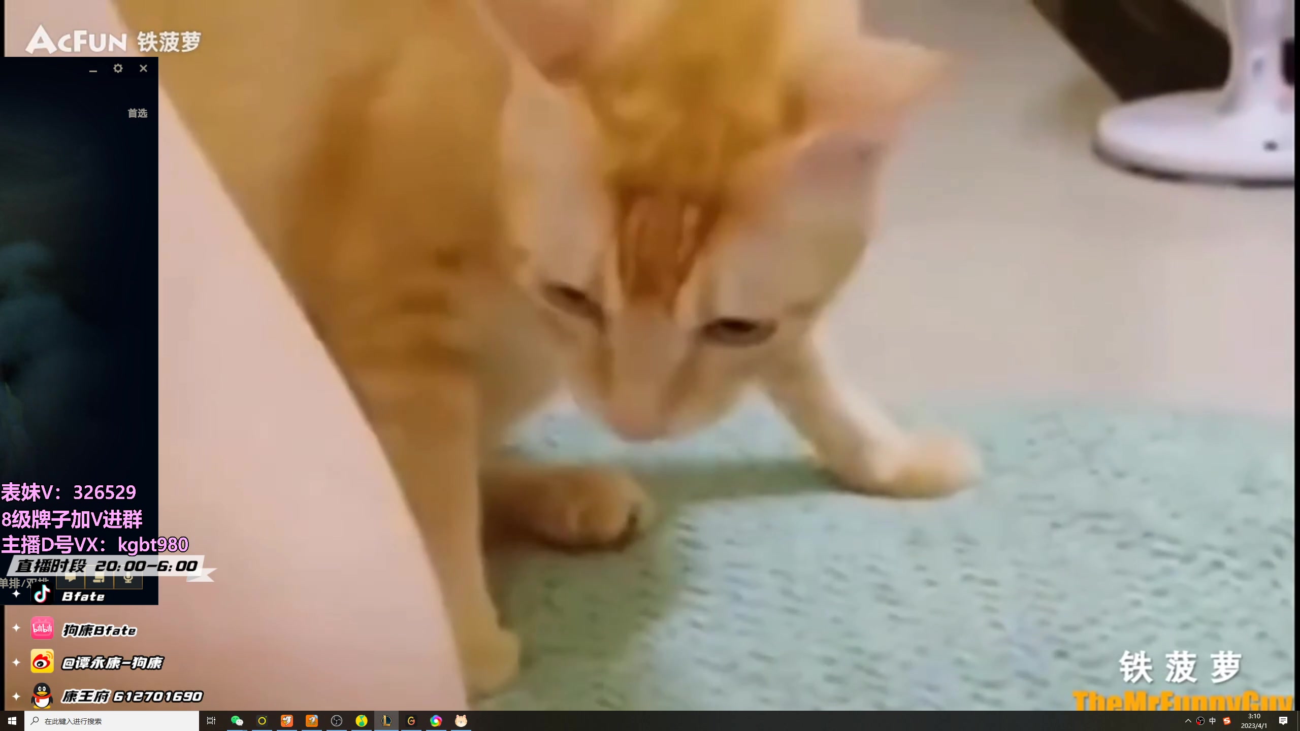 【2023-04-01 02点场】狗康Bfate丶：不灭战神！时光巫妖把把MVP!