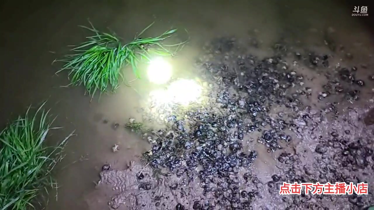 【2023-03-31 23点场】洪湖小肖：沙滩车到了造起来