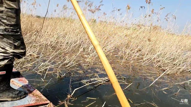 【户外】微山湖捕鱼武工队的精彩时刻 20230401 12点场