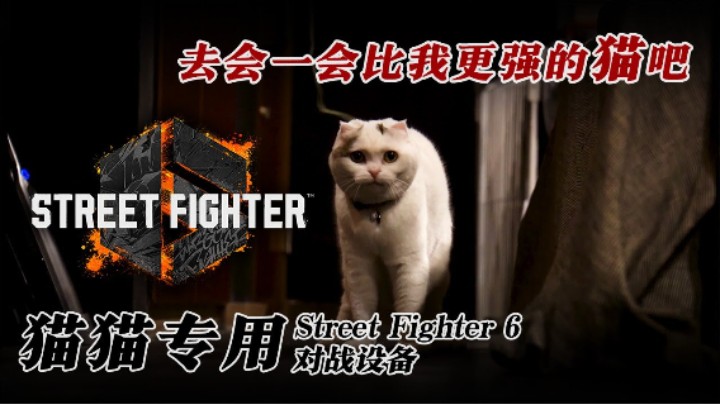 【去会一会比我更强的猫