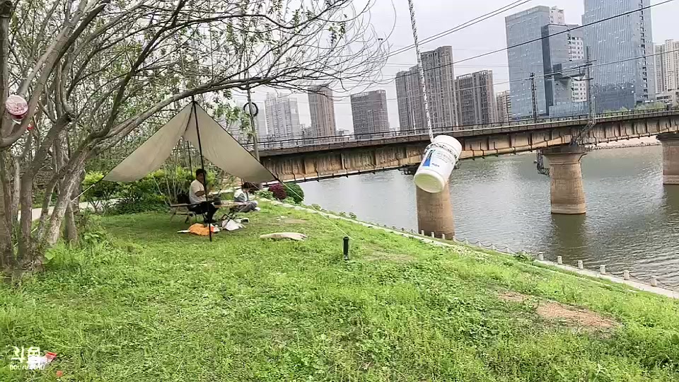 【2023-04-02 16点场】主播阿郎：本直播间招一个能刷的大哥