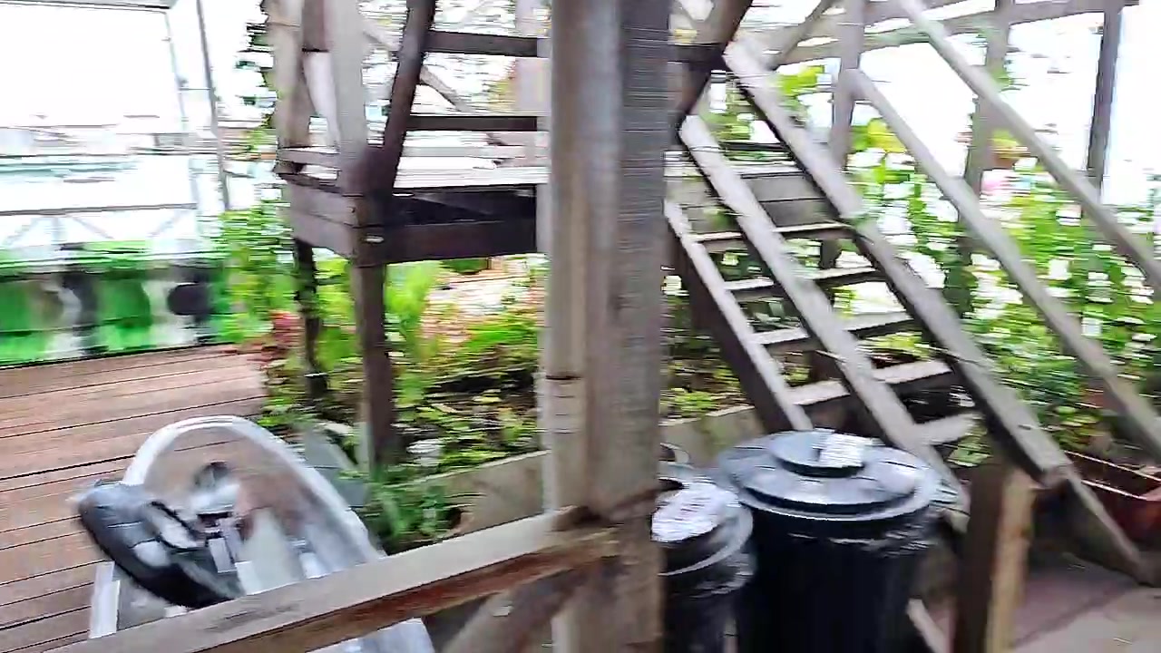 【2023-04-02 14点场】赛文柒Seven：仙本那-马布岛（最纯粹的海岛体验）