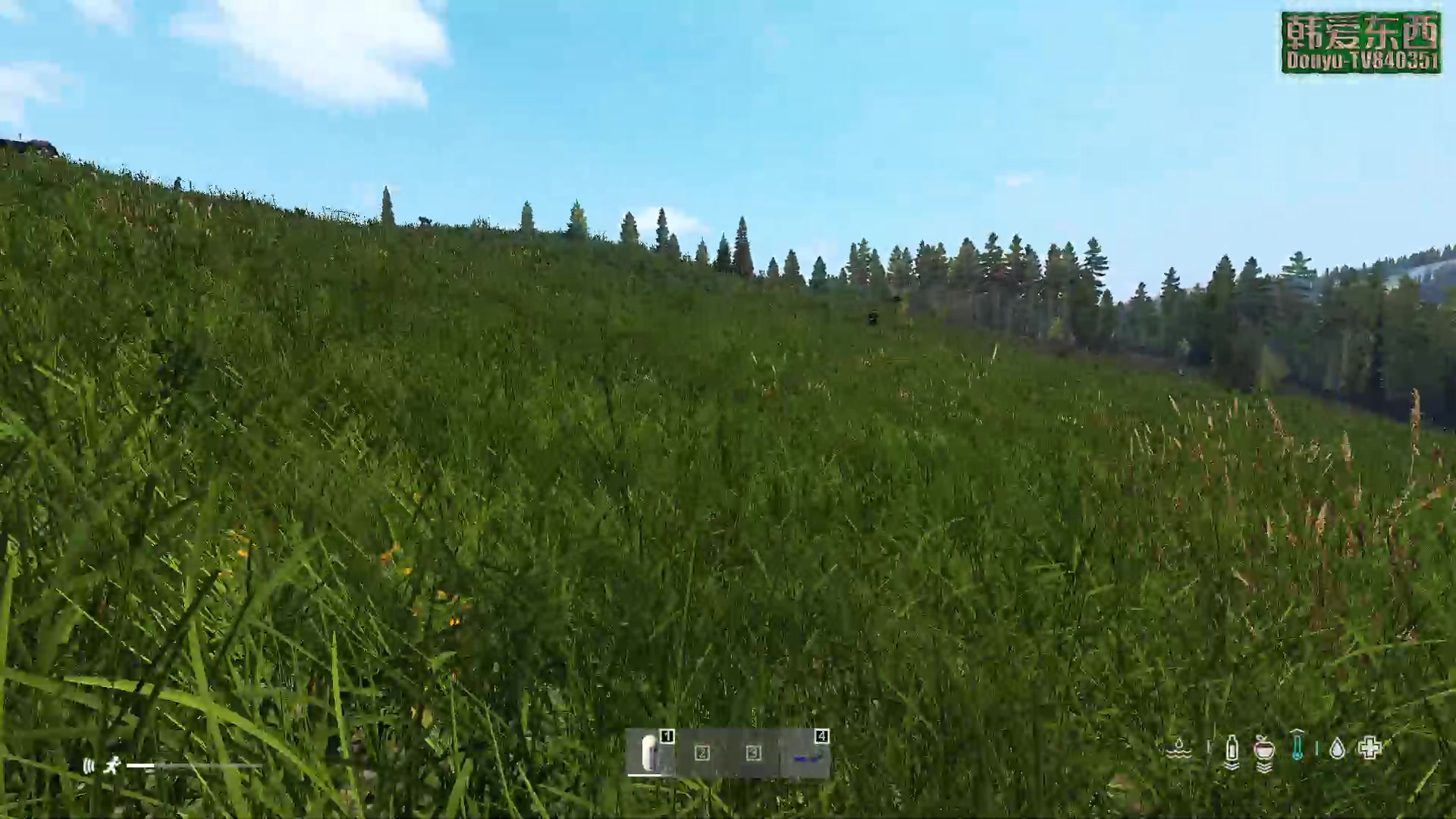 【2023-04-02 19点场】dayz韩爱东西：纳马斯克荒岛余生