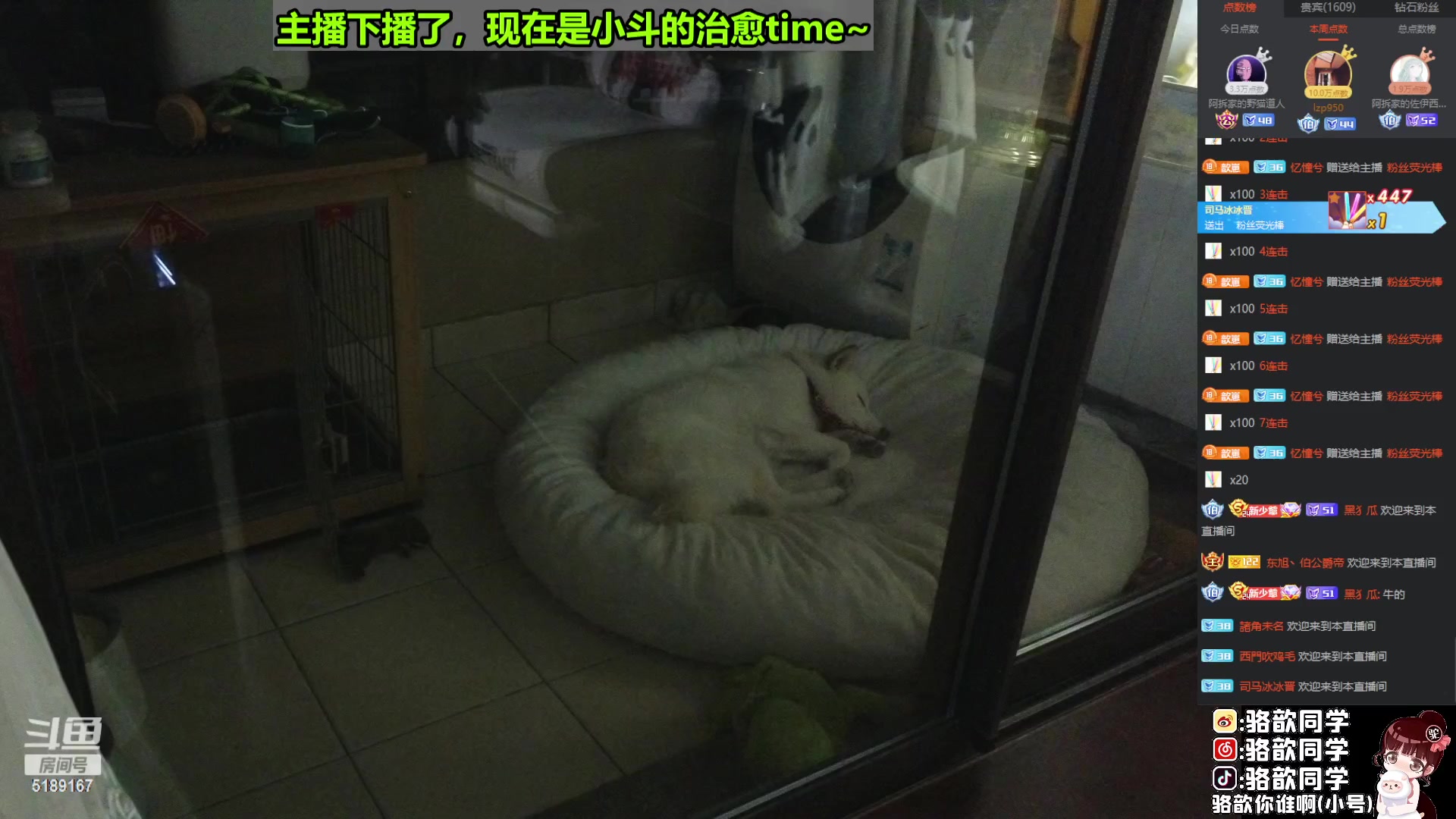 【2023-04-02 04点场】骆歆冲冲冲：八斗：嘿！你也喜欢小狗吗