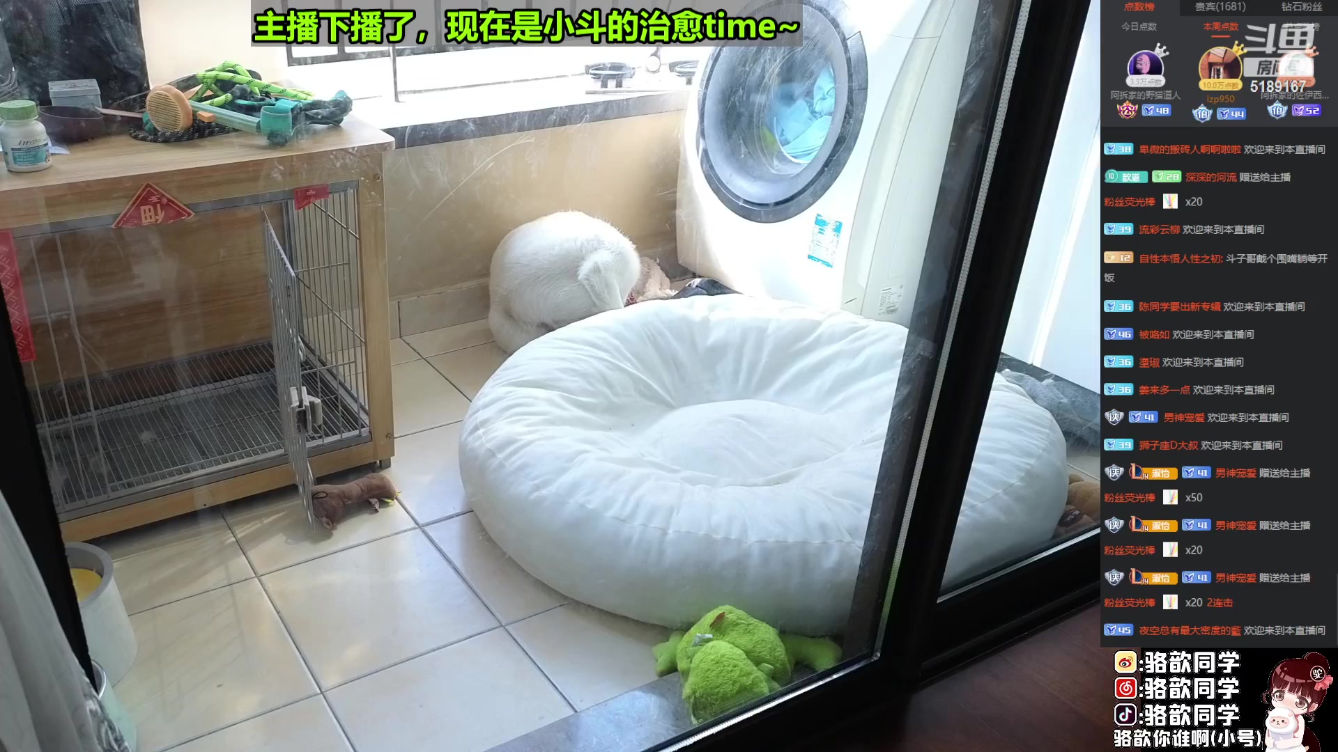 【2023-04-02 08点场】骆歆冲冲冲：八斗：嘿！你也喜欢小狗吗
