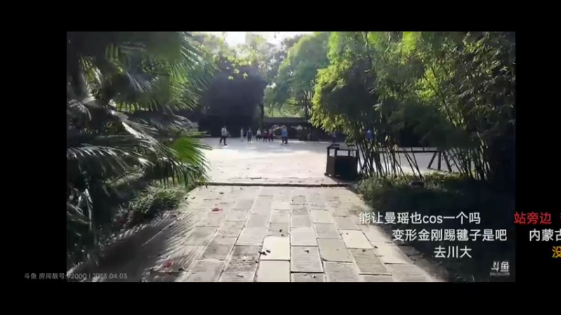 呆妹在公园问老奶奶，知不知道大黄蜂？