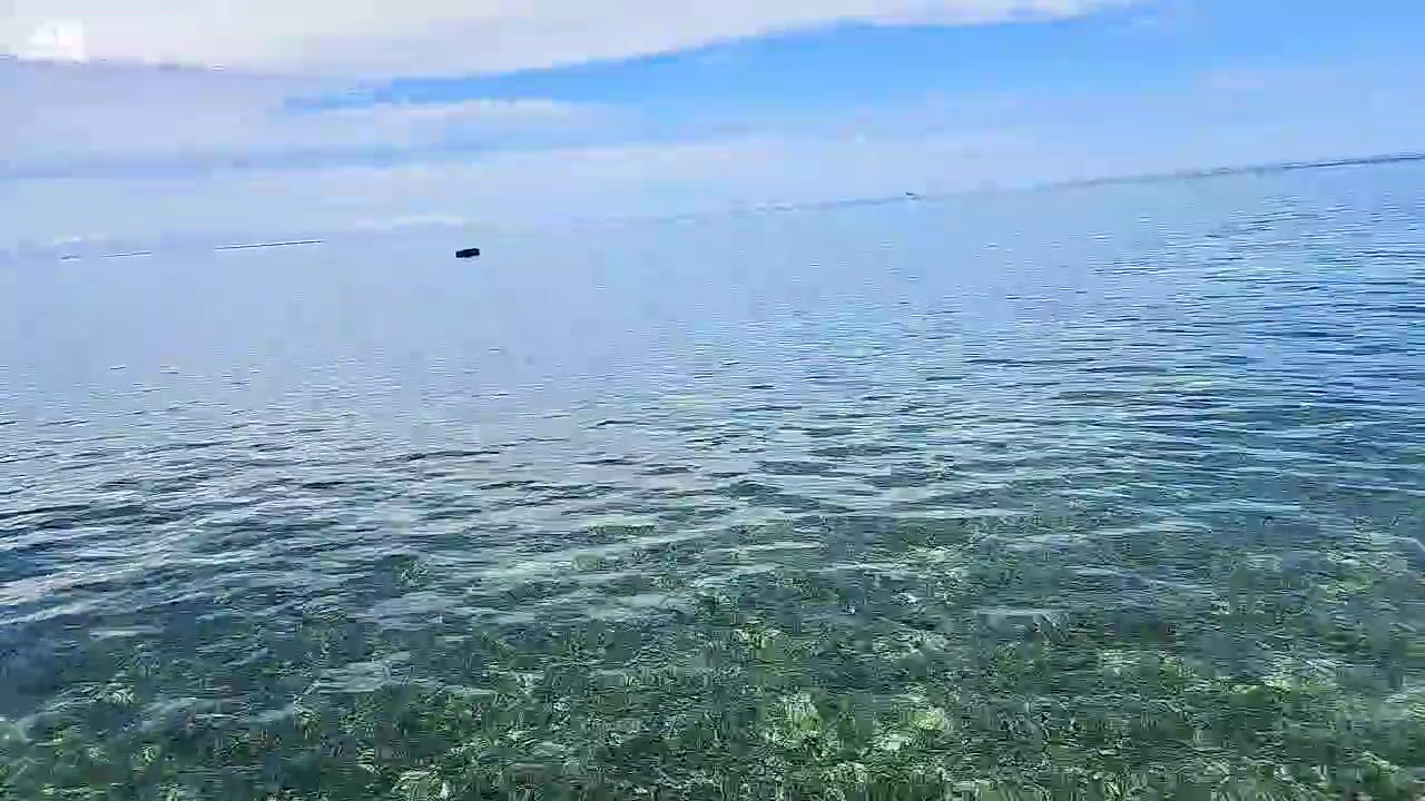 【2023-04-03 10点场】赛文柒Seven：马来仙本那-（最纯粹的海岛体验）