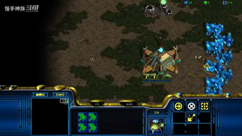 pvz-5d找错地方-搞笑局-慢手神族-韩服-星际争霸