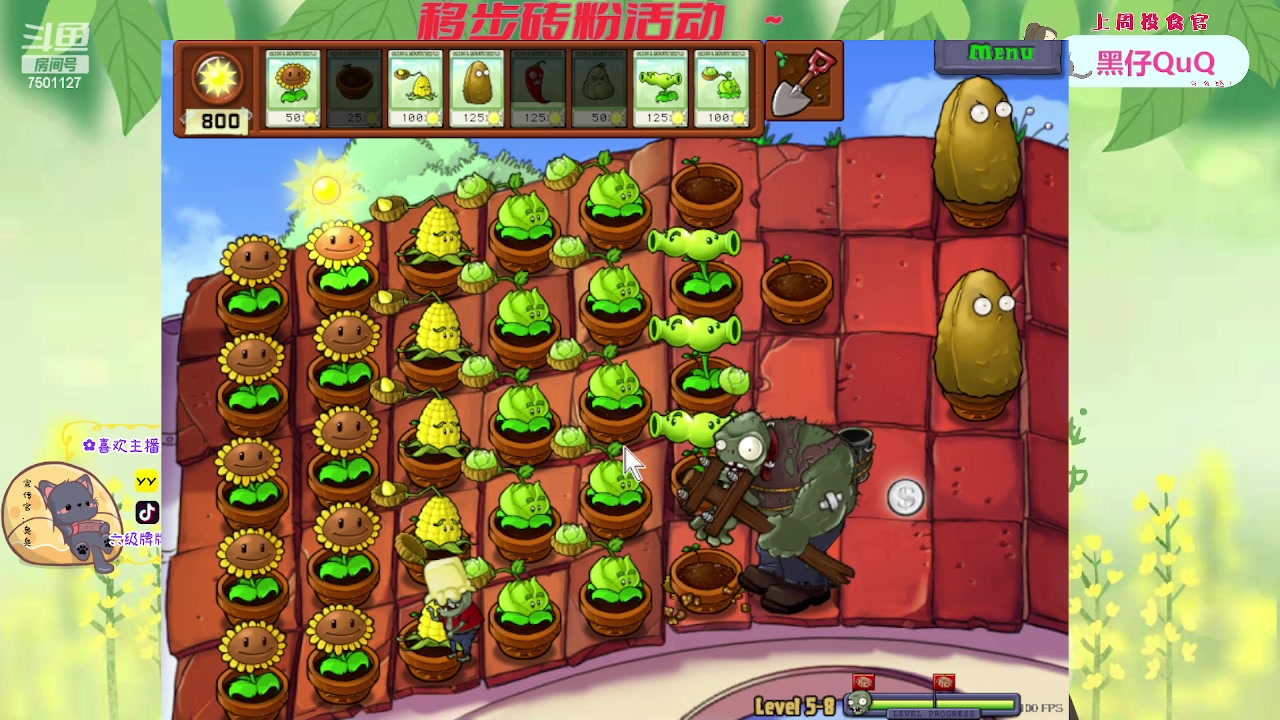 【2023-04-02 16点场】哦呦orz：【小奶团】哦买噶~~~~