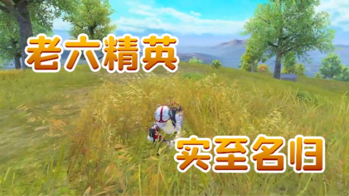 老六精英 实至名归