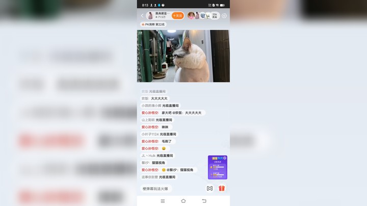 想我的猫猫啦，我的猫想我了吗？