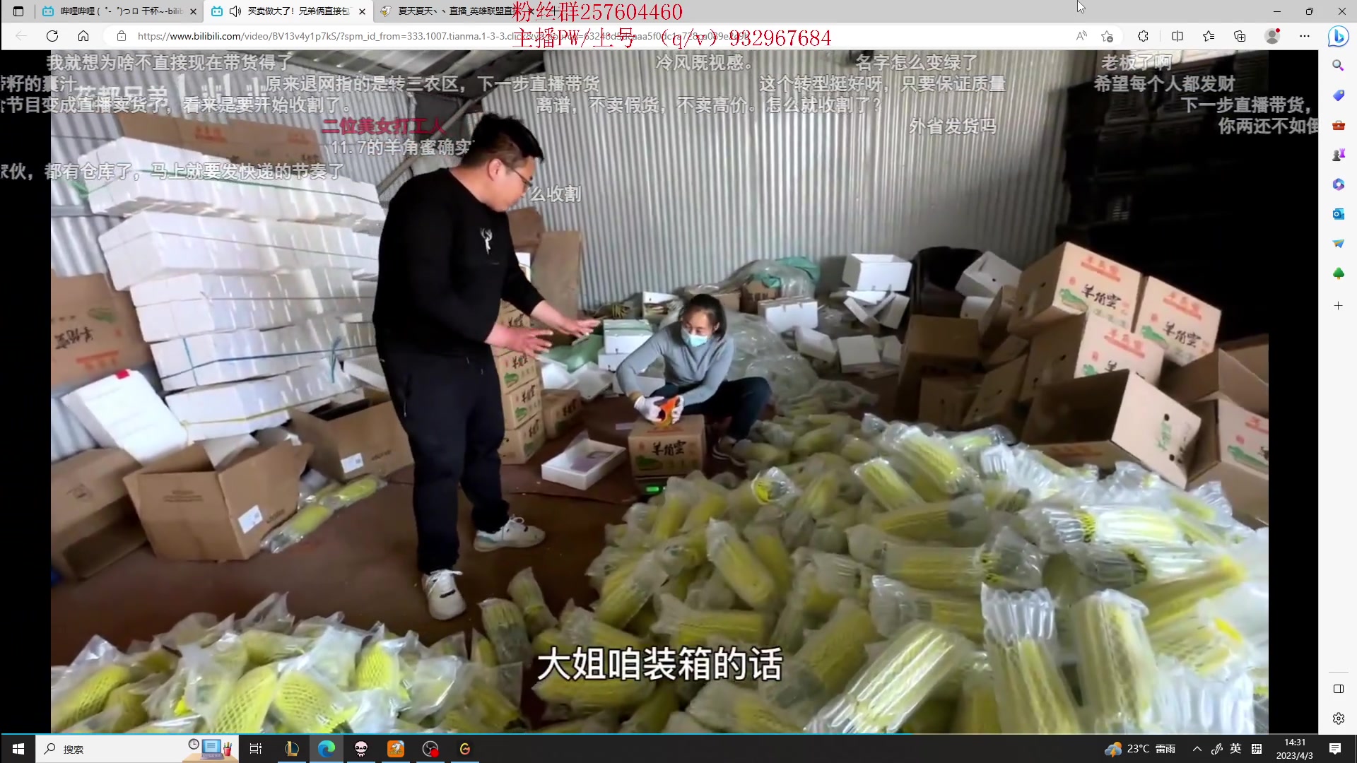 【2023-04-03 13点场】夏天夏天丶丶：女枪峡谷之巅冲大分