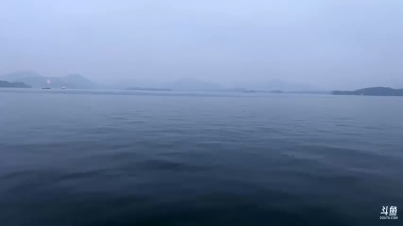 【2023-03-31 18点场】夹克兔：有只夹克兔，到了西湖