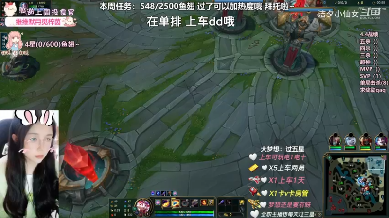 猫咪儿