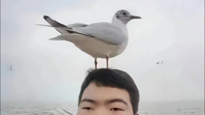 【2023-4-3 19点场】小豆瓣儿ouo:一波回忆杀T-T