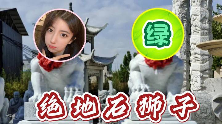  石狮子！呆妹阿绿成犄角之势守6倍镜待兔！真有小笨蛋来啊？！