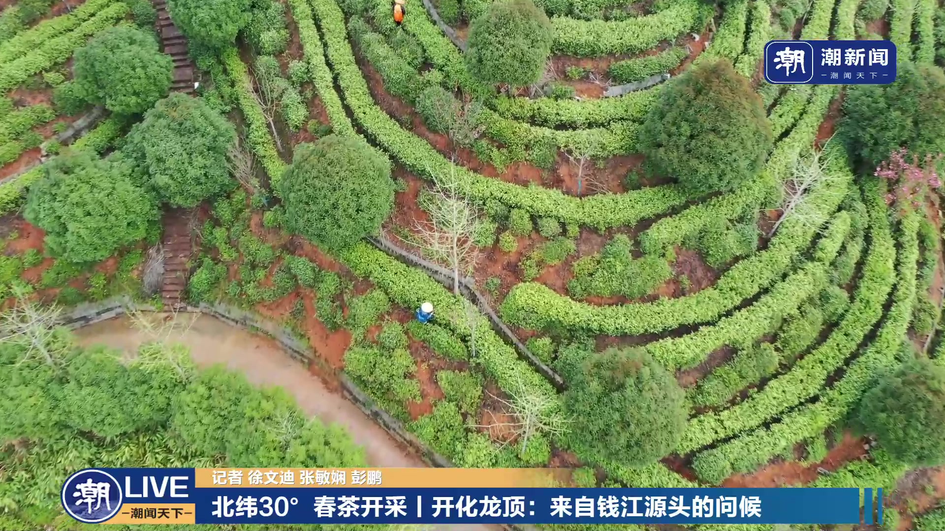 【2023-04-04 10点场】浙江日报直播室：开化龙顶：来自钱江源头的问候