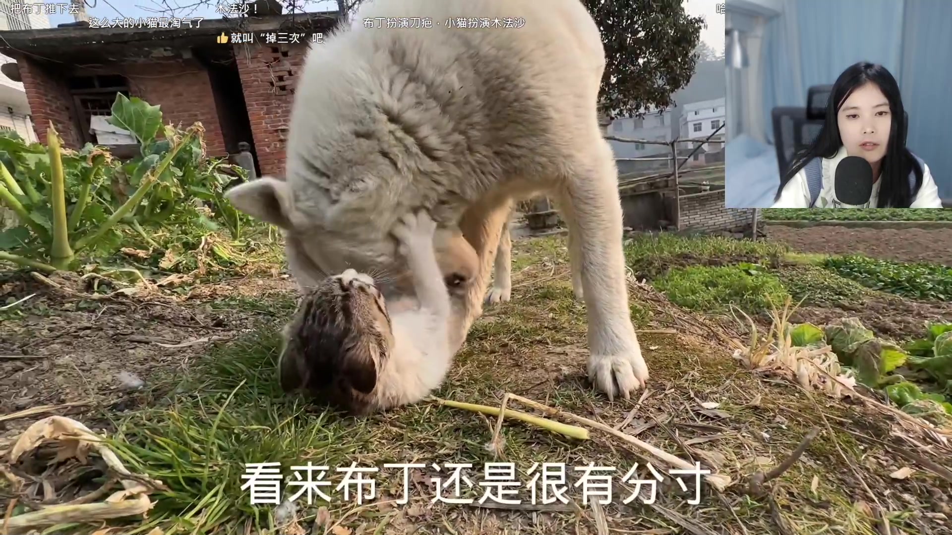 【2023-03-30 17点场】夹克兔：我的故事里你出现了吗