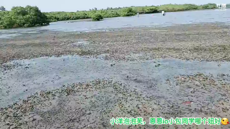 我在斗鱼看许文强户外直播户外