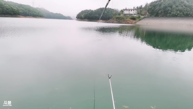 【2023-04-04 10点场】中华户外钓鱼：水库野钓，一看就有戏
