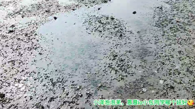 我在斗鱼看许文强户外直播户外