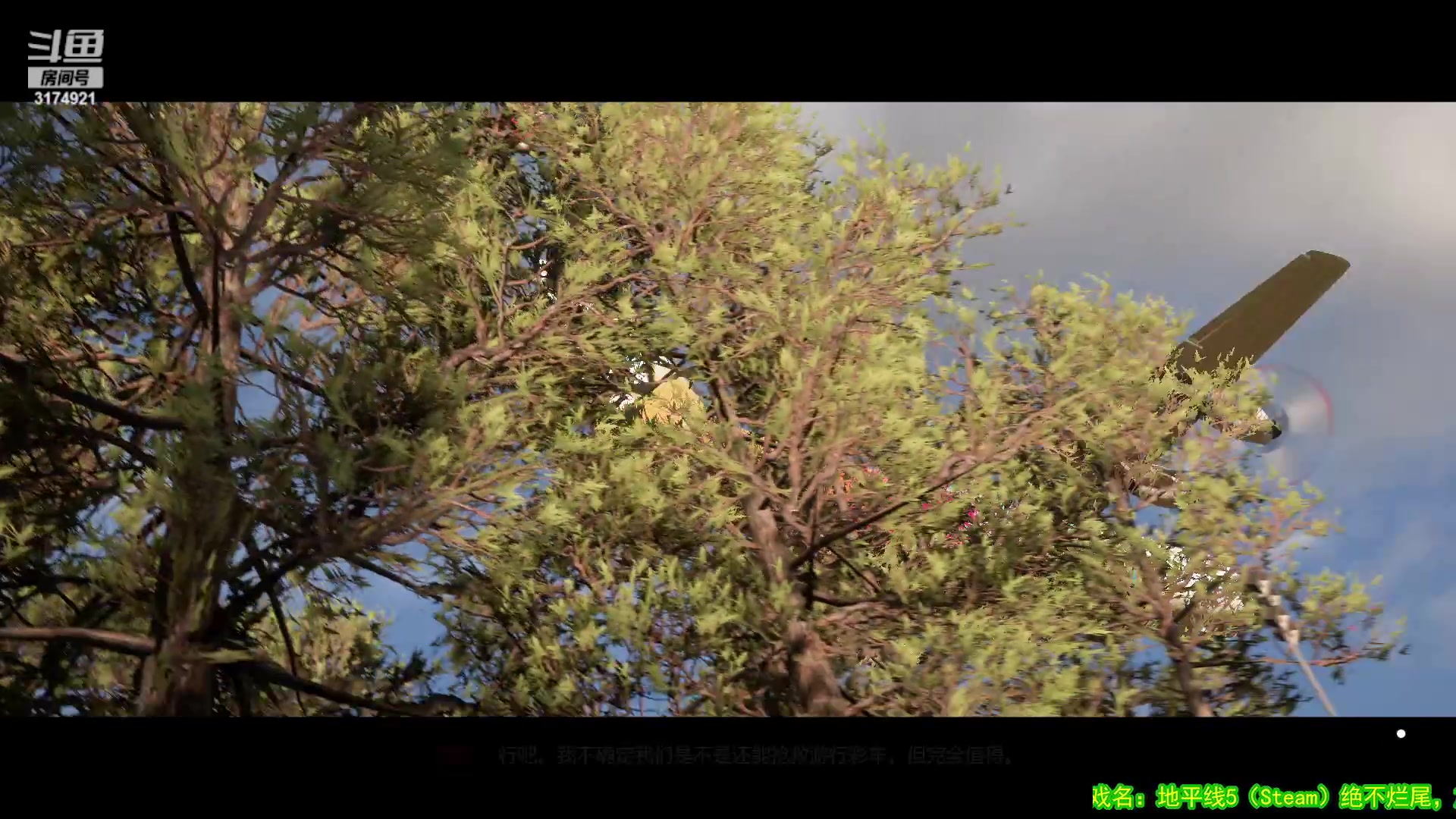 【2023-04-04 11点场】小天zzzzzzzz：【小天】地平线5。全通关。