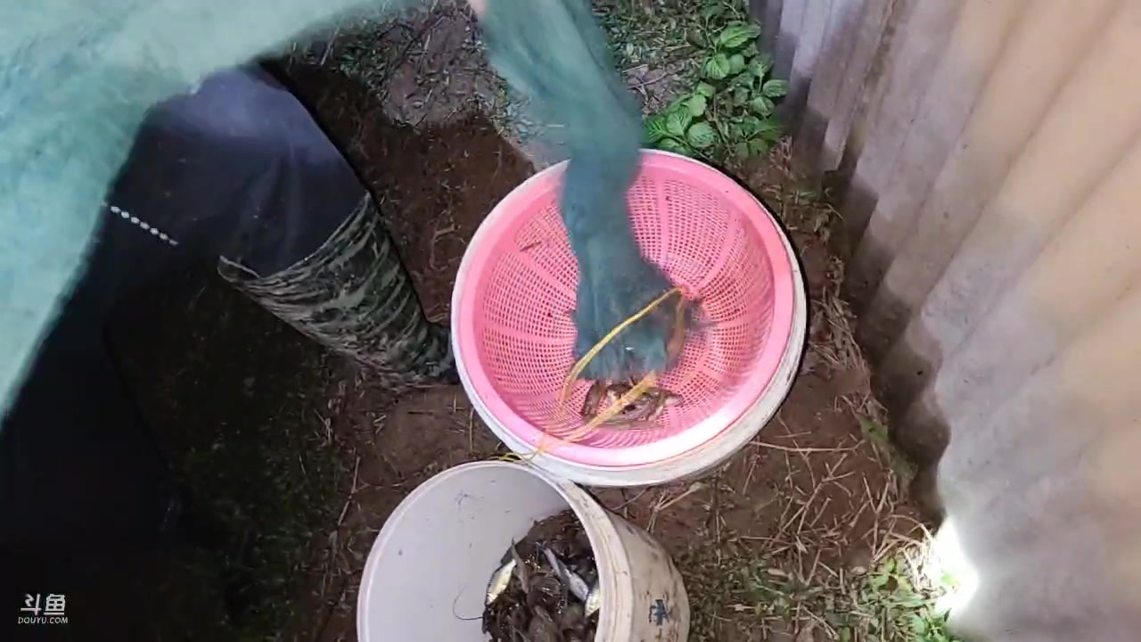 【2023-04-05 20点场】洪湖小肖：今天跑长途来选甲鱼
