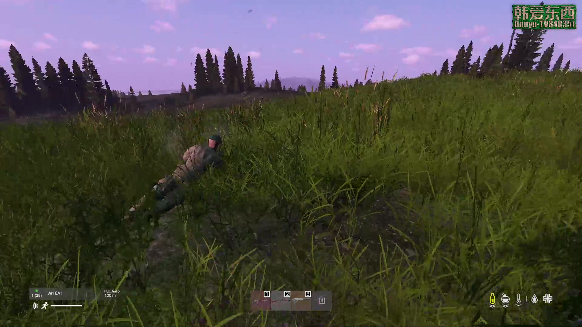 【2023-04-05 17点场】dayz韩爱东西：纳马斯克荒岛余生