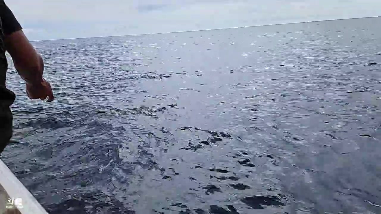 【2023-04-04 11点场】赛文柒Seven：马来仙本那-（最纯粹的海岛体验）