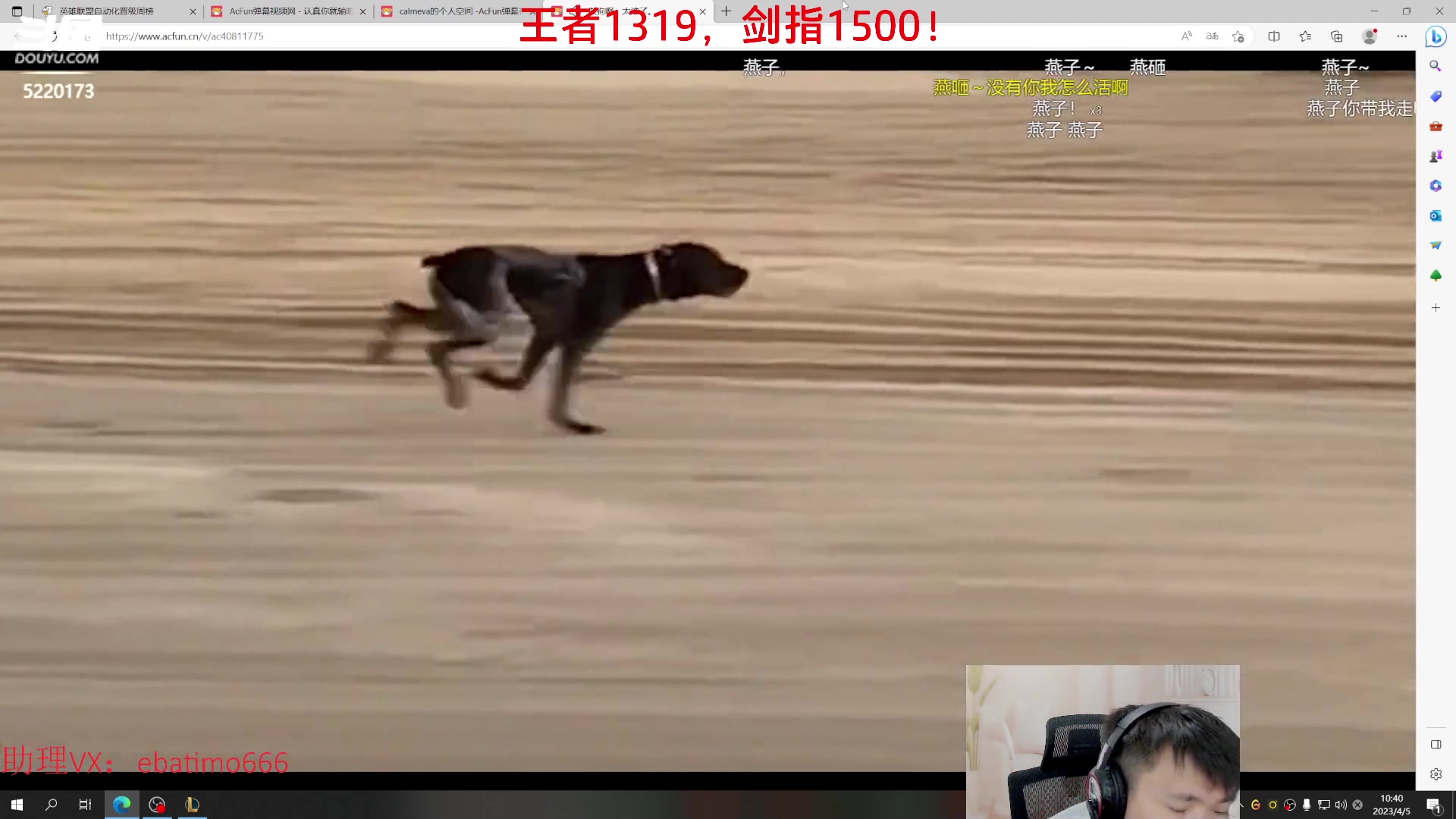 【2023-04-05 10点场】恶霸提莫：第一提莫，拿到提莫=赢！