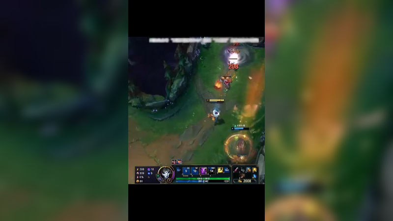 大鹌鹑-全都是细节操作