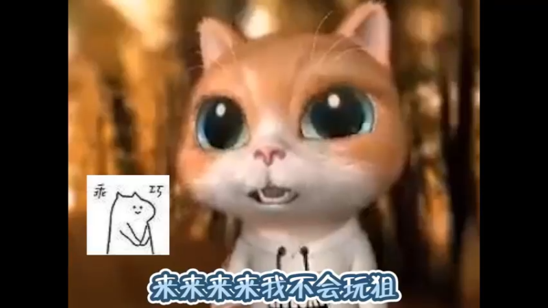 对不起，献丑了~