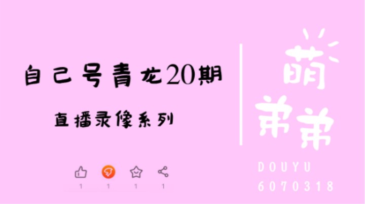 自己号青龙20期