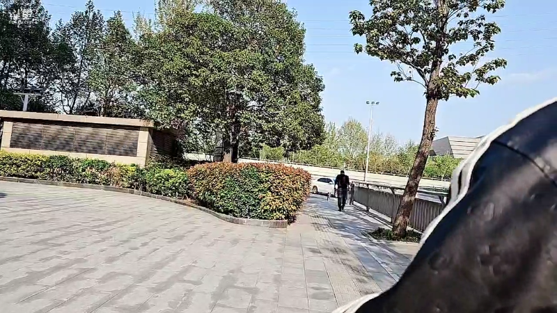 【户外】小鱼小鱼吃虾米的精彩时刻 20230407 16点场