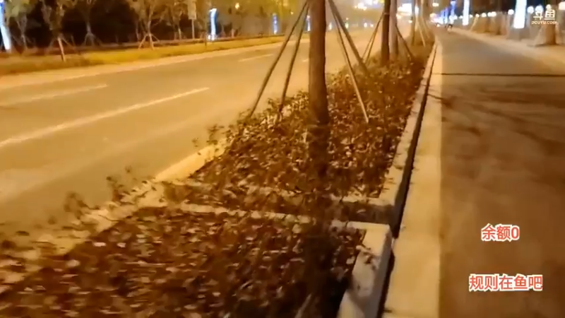 美女迪迪看到车就哭了想上车，结果学皇送礼又要下车，博哥笑了